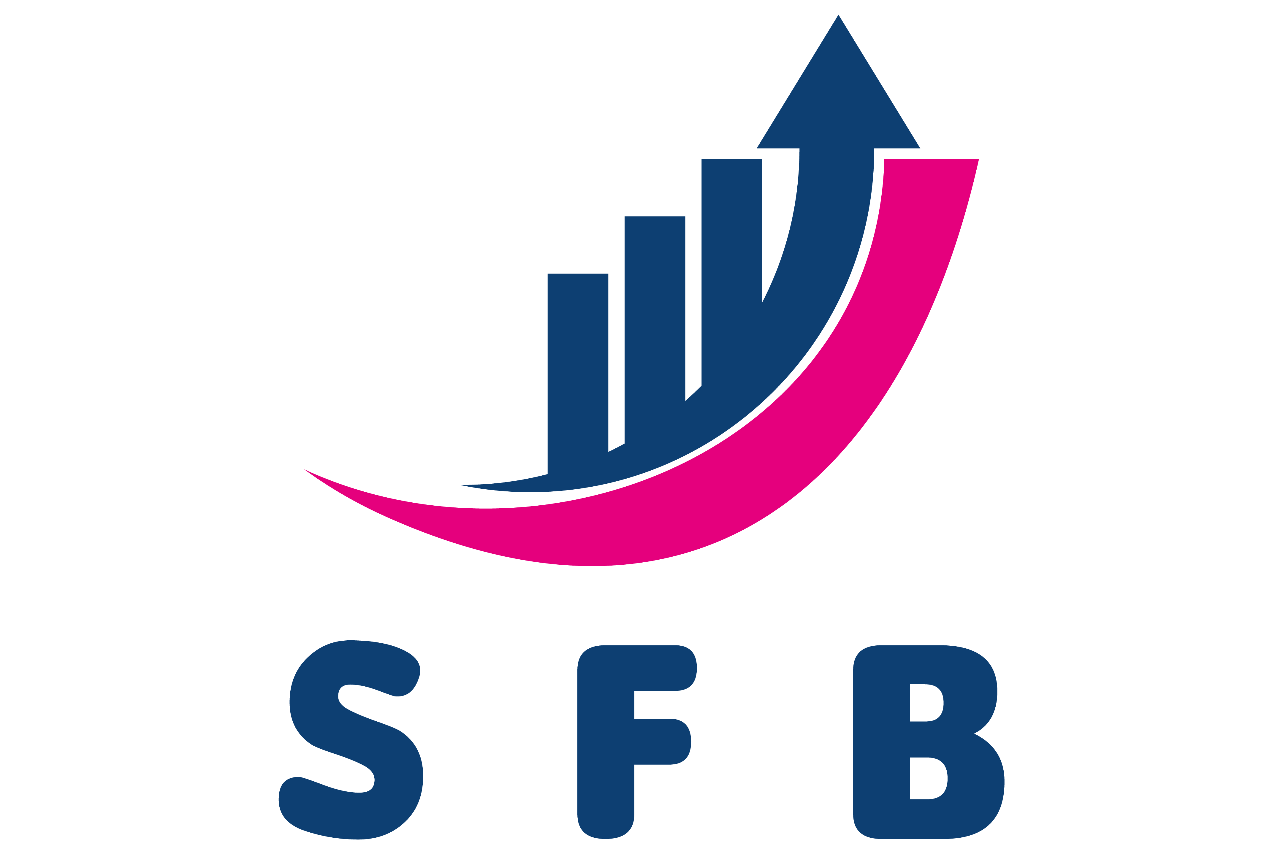 SFB Developments 